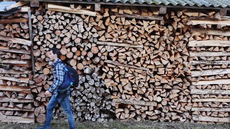 Wood scrapyard Switzerland wandering around
