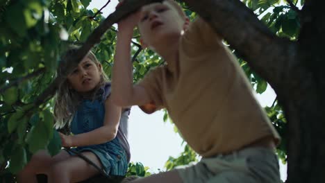 Dos-Niños-Sentados-En-El-árbol-En-El-Día-De-Verano.