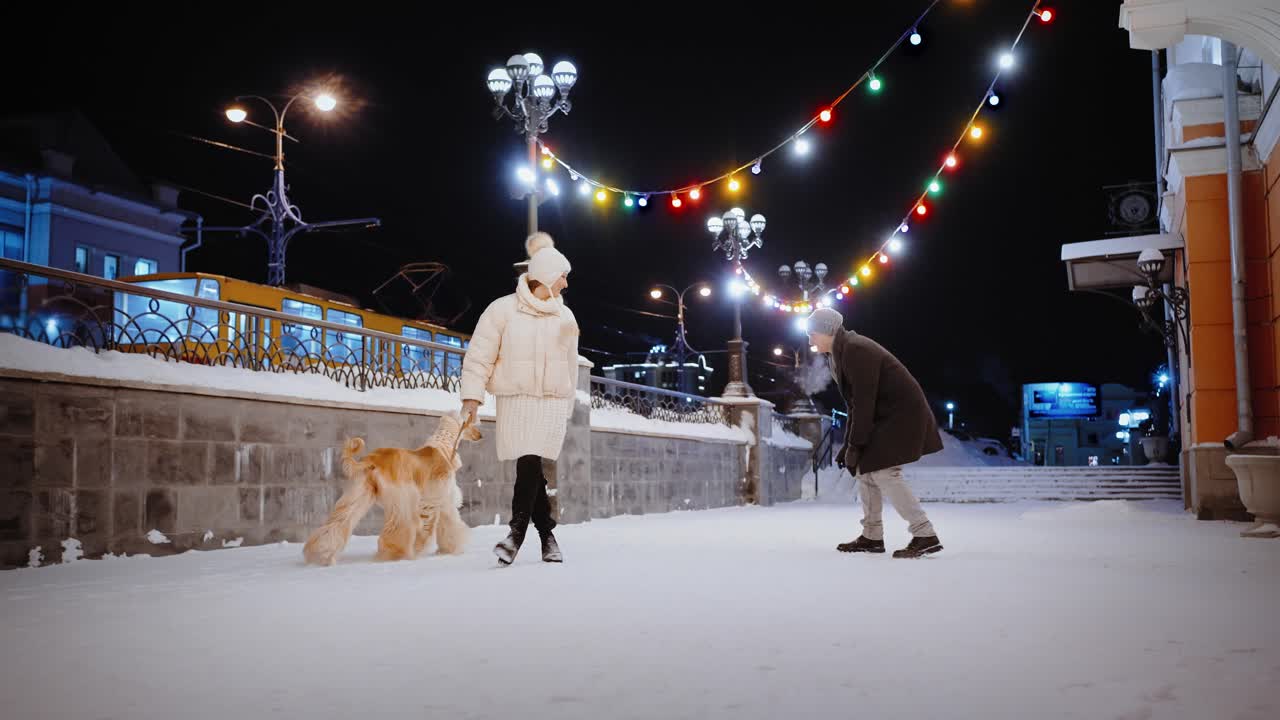 Couple walking their dog in snowy city at night