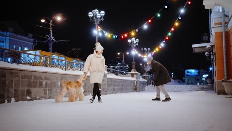 couple walking their dog in snowy city at night