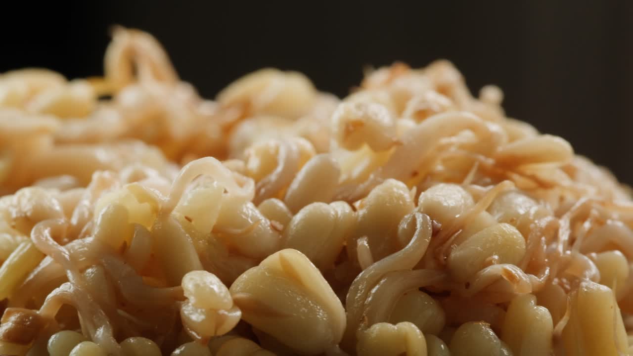 Salted soybean fermented in jar, chinese soy production, marinated food, germinated soy close up in cafe restaurant.