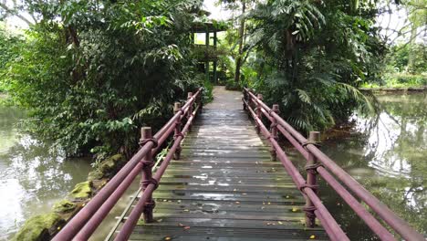 Toma-Pov-De-Caminar-Por-El-Antiguo-Muelle-En-El-Lago-Del-Bosque-Oscuro