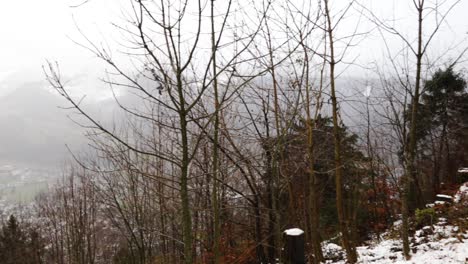 Schöne-Aussicht-Auf-Ein-Dorf-In-Glarus-Während-Der-Wintersaison