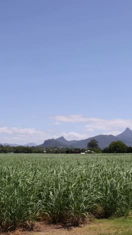 el lapso de tiempo de un paisaje agrícola pintoresco