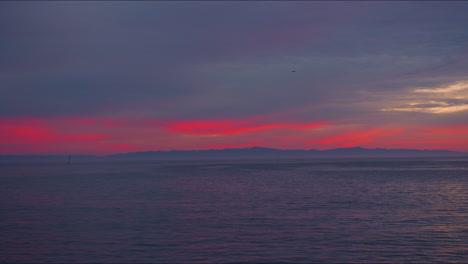 sea birds flying through sky with beautiful pink and orange sunset looking out toward the ocean with sailboats