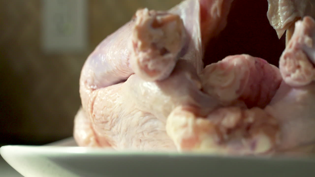 pollo o pavo crudo, entero, listo para cocinar