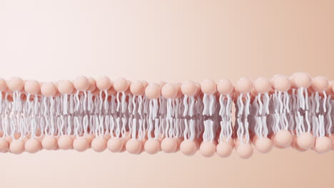 cell membrane structure background, 3d rendering.