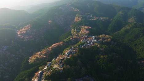 aerial drone panoramic fly above nara mountains along mount yoshino in cherry blossom sakura