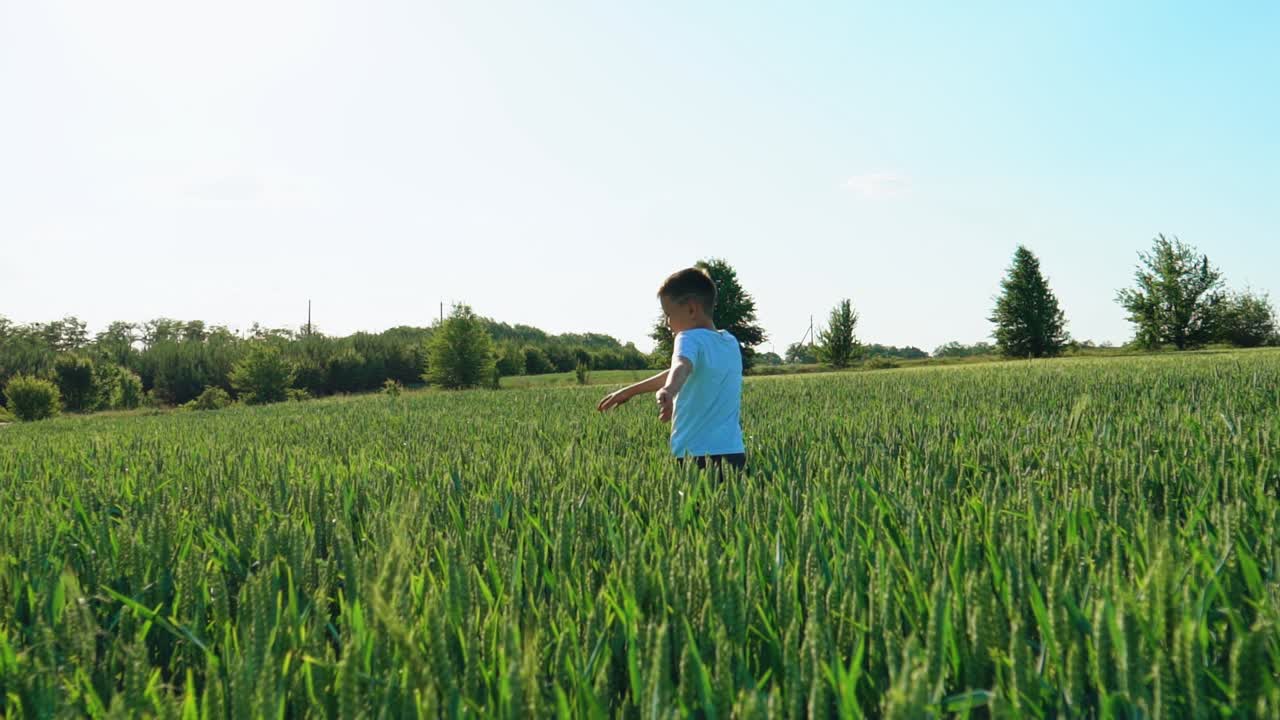 Handsome little boy in a wheat field
