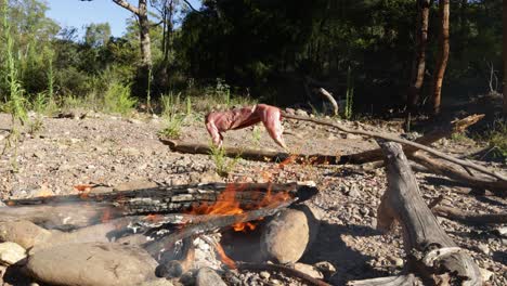 Ein-Gehäutetes-Kaninchen,-Das-Am-Spieß-über-Einem-Lagerfeuer-Gebraten-Wird