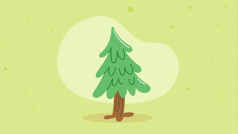 pine tree plant forest animation