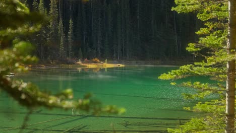 light steam fog on surface of clear water vista lake in canada