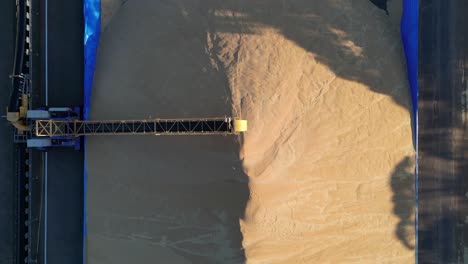 top view of a pile of wheat grains after harvest in western australia