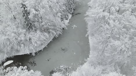 freezing weather conditions at poland elblag outskirts lake