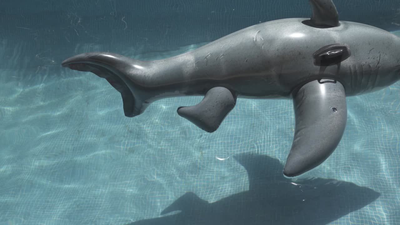 Inflatable dolphin and colorful pool floats drifting in a neglected swimming pool, highlighting the importance of regular pool maintenance and effective cleaning solutions