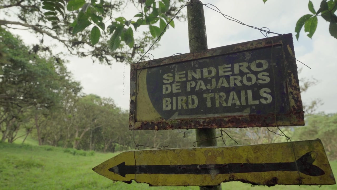 Antiga placa rústica indicando uma trilha de observação de aves em uma exuberante floresta tropical verde em Mindo, Equador