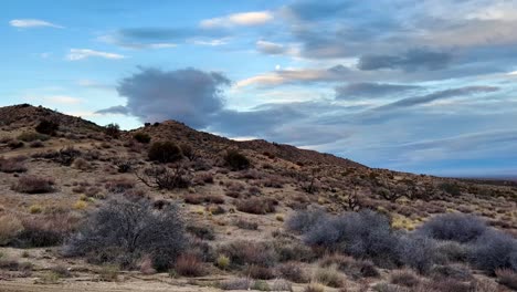 Desert-landscape-pan-during-morning-with-a-full-moon-in-the-sky-and-desert-foiliage