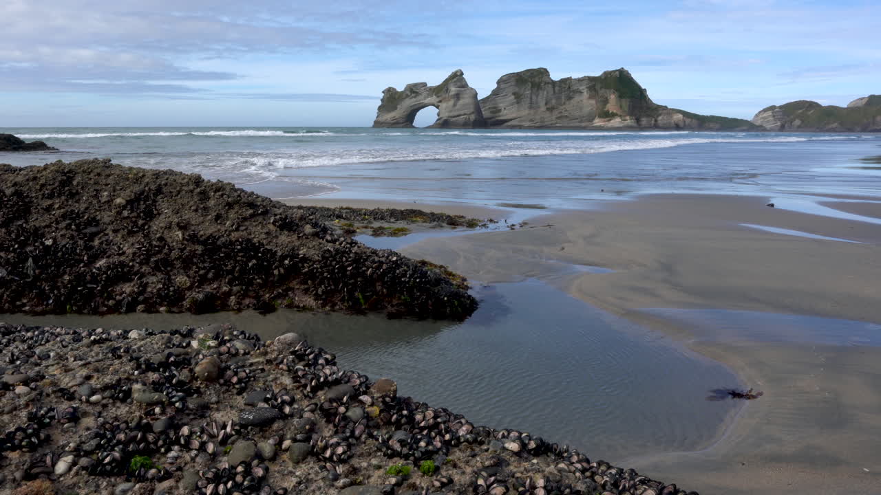 playa de wharariki en nueva zelanda con mejillones en rocas de primer plano y pilas de mar en la distancia