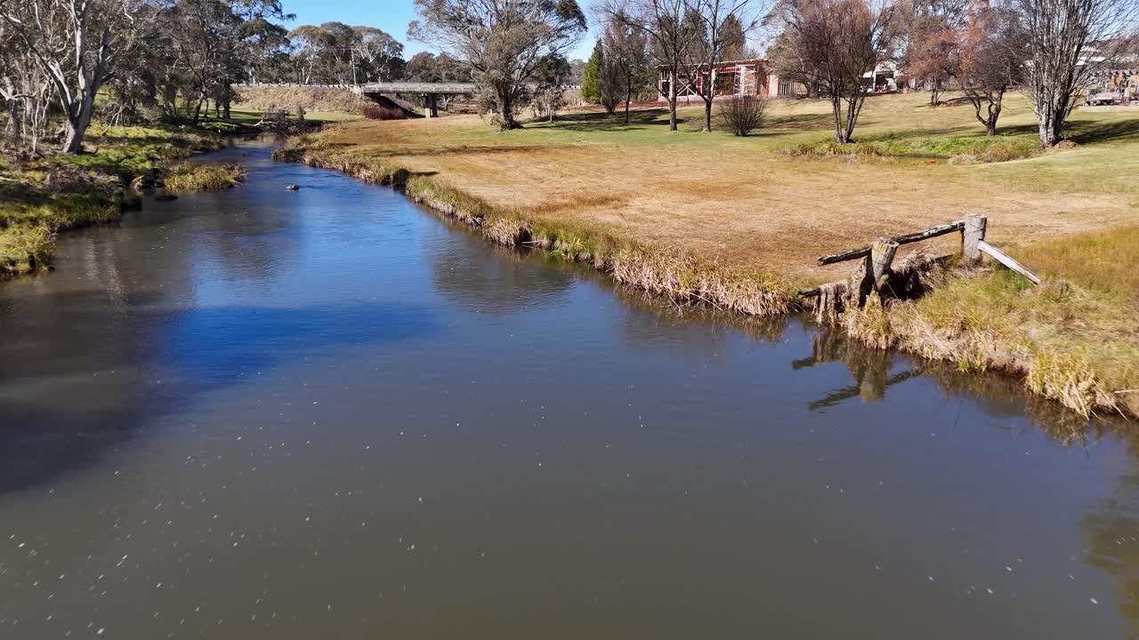 Ducks swim in stream near houses and grassy banks