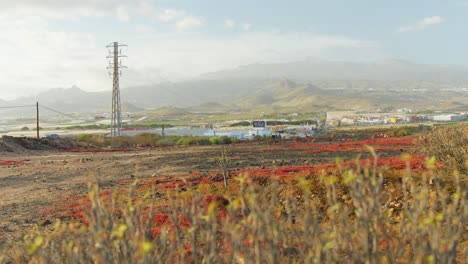 paisaje de las galletas en tenerife con sensaciones de desierto y plantas secas, vista en movimiento