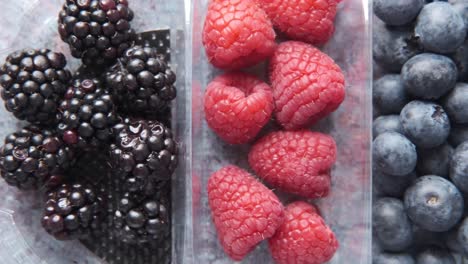 assortment of fresh berries