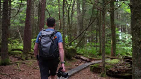 Active-young-man-hiking-through-the-forest-with