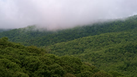 the smoky mountains enveloped in fog, captured by drone