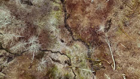 Aerial-drone-above-dry-cracked-earth-field-with-dry-trees-around-top-down-slowly