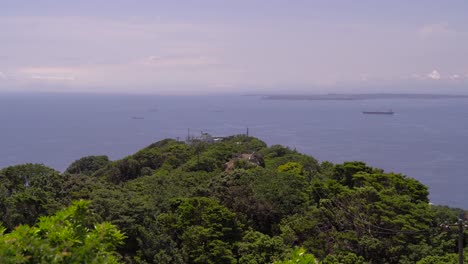 vista sobre el denso bosque verde y la bahía de tokio en un día soleado en japón