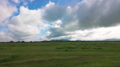 traveling across the vast grassland of mikumi national park in tanzania. pov shot
