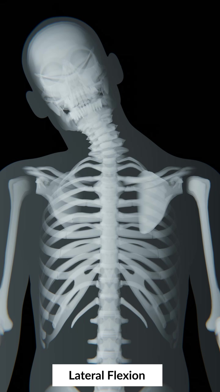 La flessione laterale del collo è il movimento di piegamento laterale della testa e del collo lungo la colonna cervicale, che consente flessibilità e controllo del movimento.
