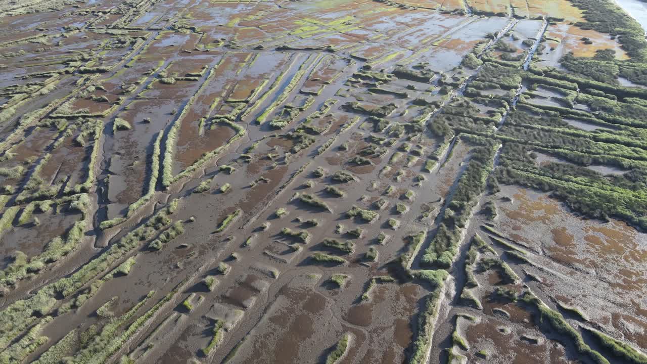 Ria de Aveiro - Marshes of the Aveiro estuary in Portugal