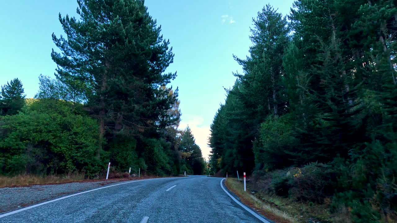 Veicolo percorre una strada tortuosa nella foresta, luce diurna, grandangolo, telecamera stabile, rigoglioso paesaggio di Glenorchy