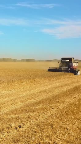 agricultural machinery harvesting golden wheat in expansive field under clear blue sky