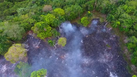 aerial view over a smoking, burnt tropical forest wildfire, in indonesian jungle, asia - tilt down, circling drone shot