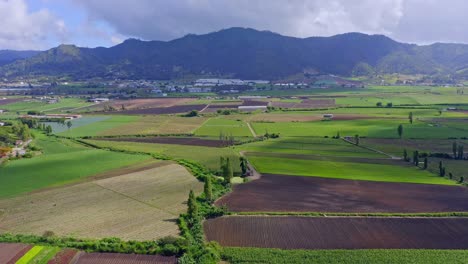 top view over fertile farms with high crop yields in constanza, dominican