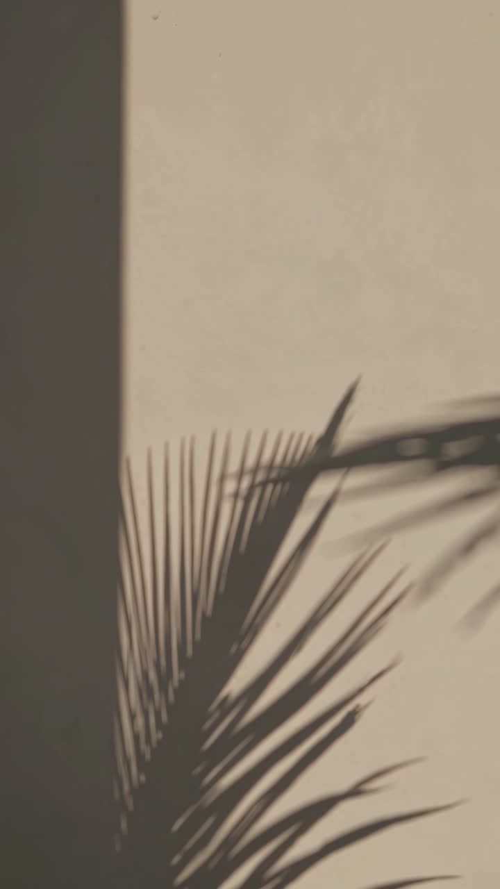 Aesthetic video concept with a minimalistic style, capturing palm leaf shadows on a beige wall