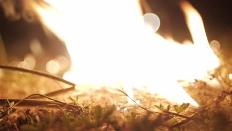 encender fuego y quemar hierba por la noche, conflagración y incendio usando combustible