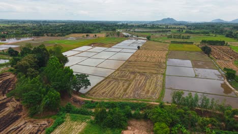 aerial view of rice paddies and farmland in southeast asia