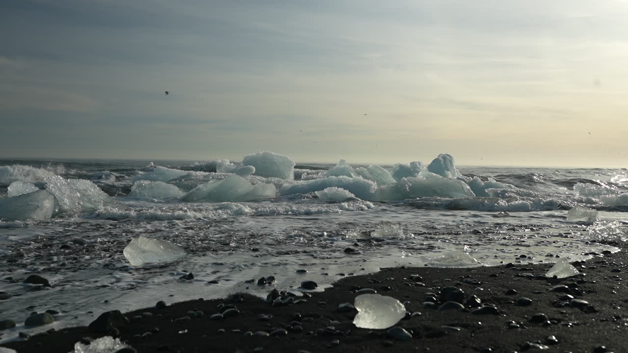 Waves gently rolling onto black sand, moving ice chunks under soft arctic light at Diamond Beach, Iceland