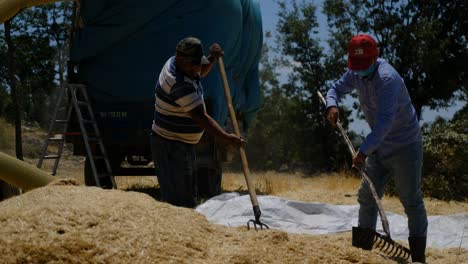 Hay-sprayer-worker