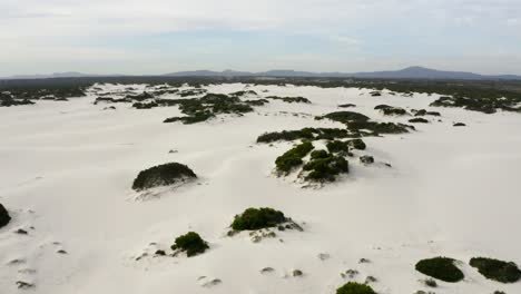 dunes de l'atlantide 04