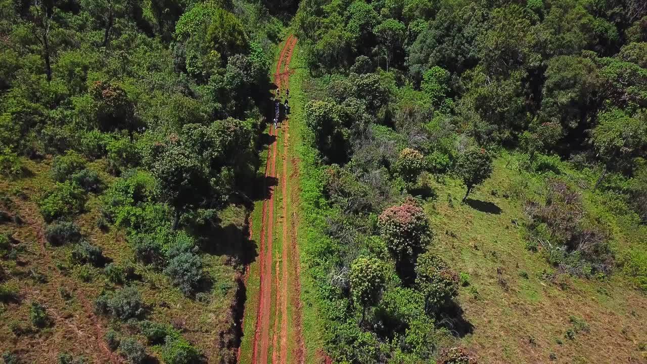 Group Of Hikers On Their Journey Along Mount Elgon Trails In Mountainous Forest Of Kenya, Africa. Aerial Drone Shot