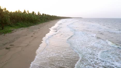 drone pullback during sunset over an empty sandy tropical tree lined nagua beach in the dominican republic because of coronavirus - covid19