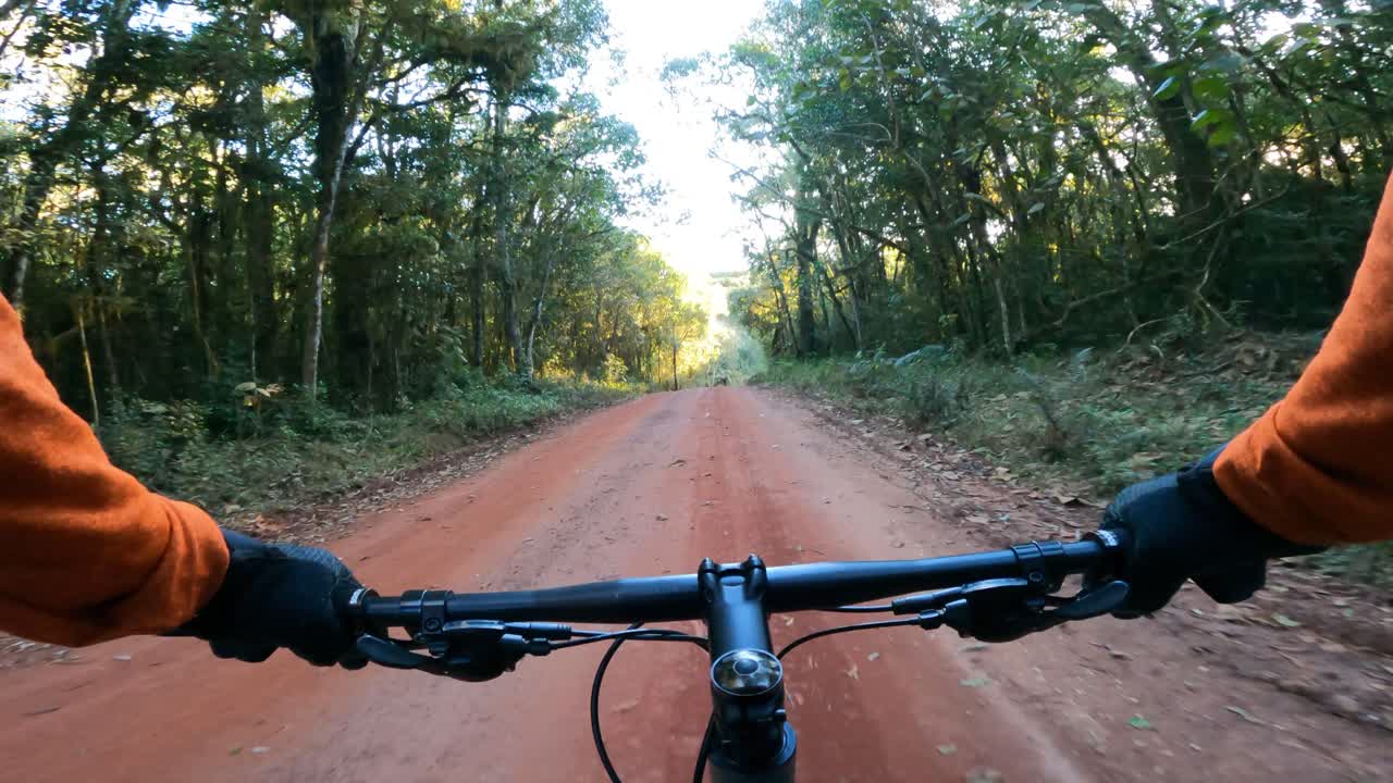 Cyclist on a dirt road in the middle of the forest, first person view