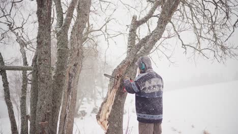 hombre cortando el tronco de un árbol con una motosierra durante una tormenta de nieve en invierno