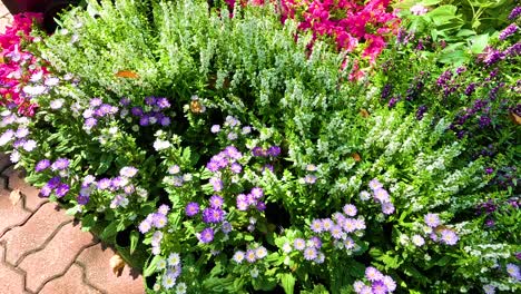 colorful flower garden display