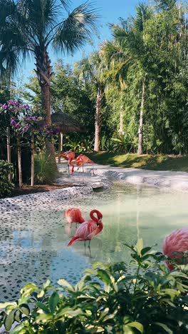 pink flamingos in a tropical paradise