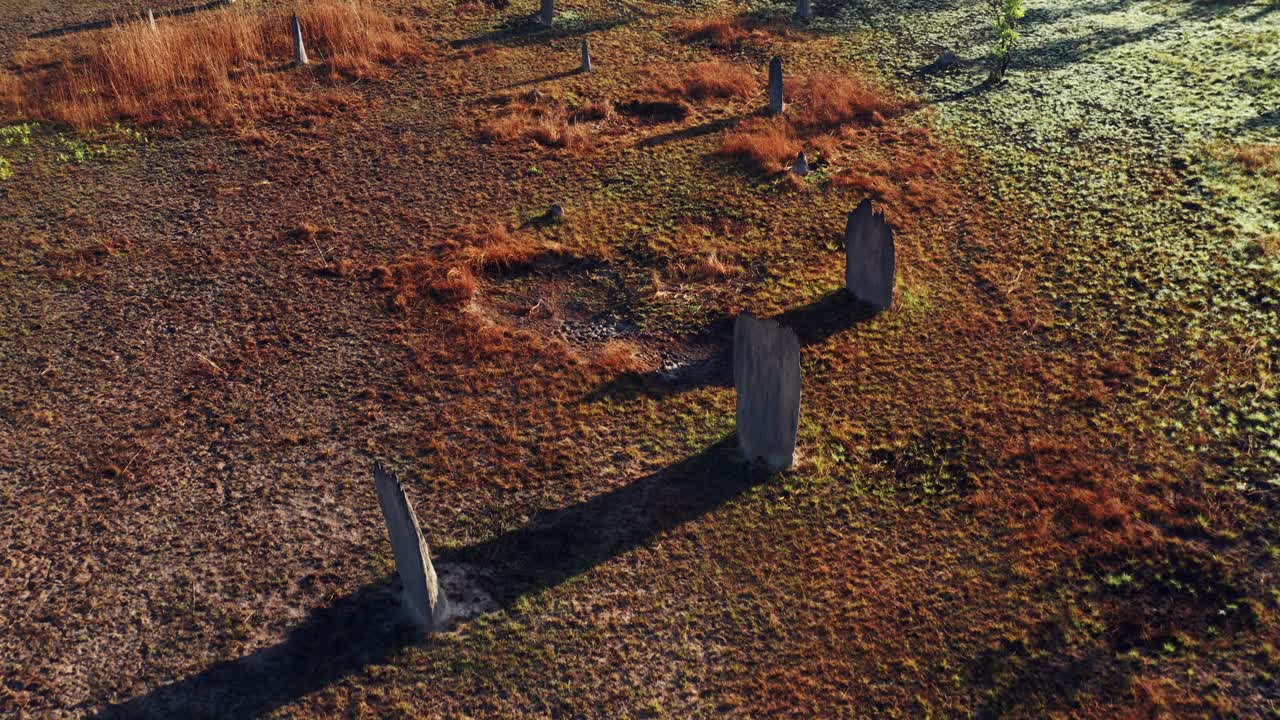 vista aérea de montículos de termitas magnéticas en el desierto del parque nacional litchfield en australia