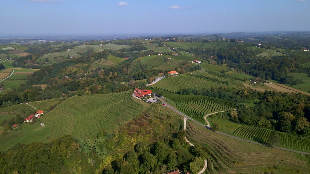 Aerial View of Rolling Green Hills Vineyard in Slovenia